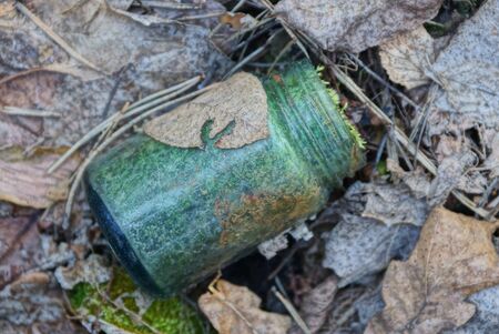 garbage from one old green glass jar among dry gray leaves in natureの写真素材