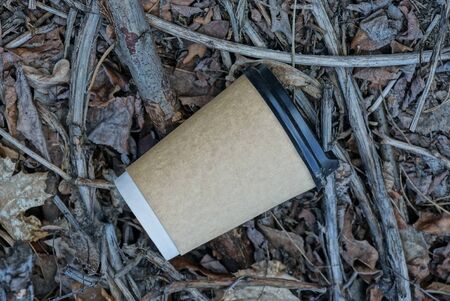 garbage from one brown closed paper cup lies on gray dry leaves in nature