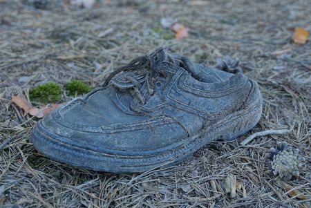 garbage from one black old leather boot on gray dry needles on nature in the forestの写真素材