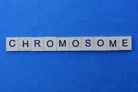 word chromosome made from gray letters lies on a blue backgroundの写真素材