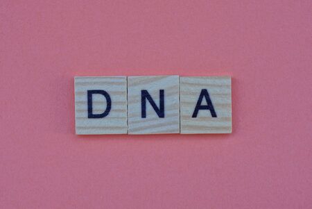 text from the short word dna from gray square wooden letters lies on a pink tableの写真素材