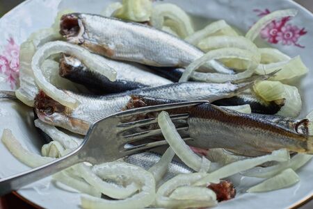 food from salted small hamsa fish with fresh chopped onions with a metal fork in a white plateの写真素材