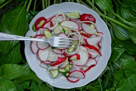 radish and cucumber salad in a white plate and metal fork stands on the green leaves of plants in natureの写真素材