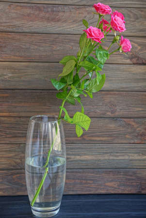 one glass vase with a bouquet of red roses on green stems with leaves on a brown wooden wall backgroundの写真素材