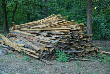 large pile of long brown wooden planks on nature in the forestの写真素材