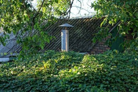 one gray metal chimney pipe overgrown with green vegetation with leaves outsideの写真素材