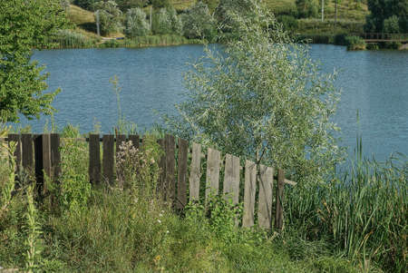 broken gray old wooden fence overgrown with green grass and vegetation on the lake against the background of waterの写真素材