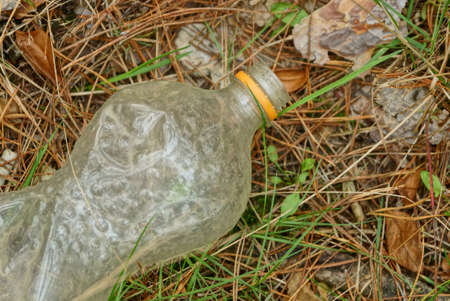 garbage from one white plastic bottle on dry needles