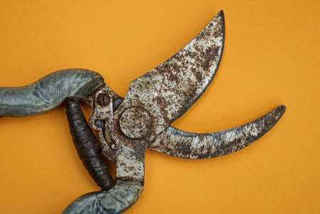 part old gray garden shears covered with rust lies on a brown table