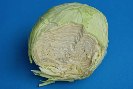one large head of fresh green cabbage with a cut lies on a blue table