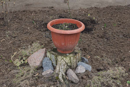 one brown plastic flowerpot stands on a tree stump on brown ground outsideの写真素材