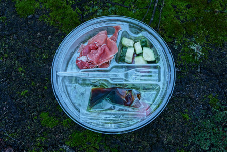 set of food salad cucumbers and meat in a white plastic dish stands on green moss in natureの写真素材