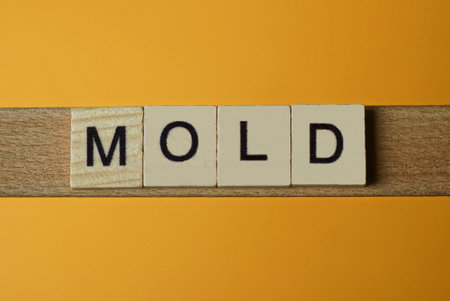 gray word mold made of wooden square letters on brown backgroundの写真素材