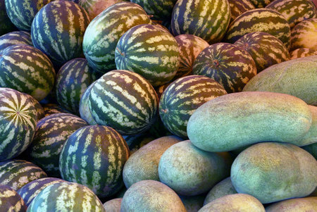 natural plant texture from a bunch of round striped watermelons and long green melonsの写真素材