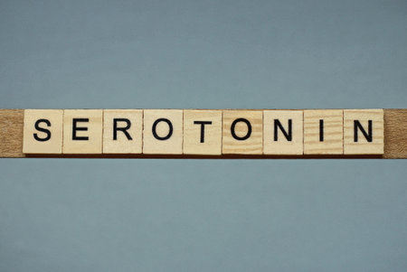 text the word serotonin from brown wooden small letters with black font on an gray tableの写真素材