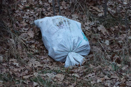 one large white bag with trash lies on dry gray grass and fallen leaves in natureの写真素材