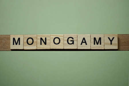 gray word monogamy made of wooden square letters on green backgroundの写真素材