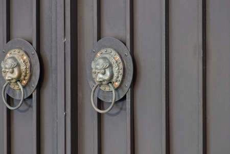 two brown bronze door handles with a lion head on a metal door in the streetの写真素材