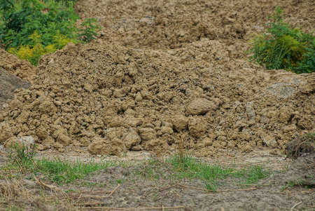 one large brown fur coat made of clay and earth in green grass outsideの写真素材