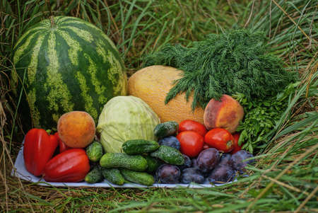 set of many fresh ripe vegetables and fruits on a gray tray in green grass in a garden in natureの写真素材