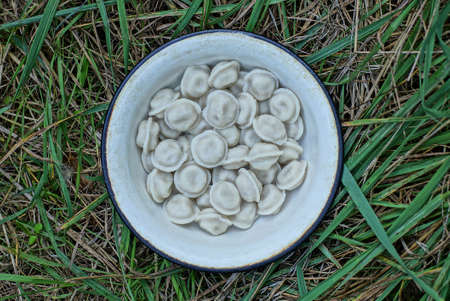 food from gray boiled dumplings in a white bowl stands on green grass in natureの写真素材