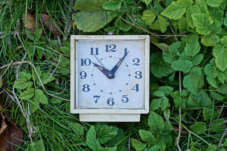 one old white square alarm clock lies in green grass and vegetation on the street in natureの写真素材