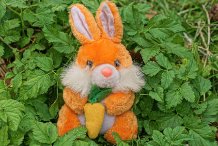 one toy orange plush hare sits on green leaves vegetation in natureの写真素材