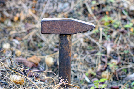 one old brown iron rusty hammer on a wooden handle stands in dry branches of plants on the street