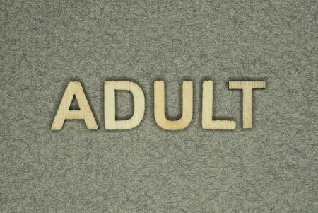text on word adult from wooden letters on a gray backgroundの写真素材