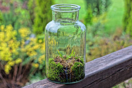 one large gray glass jar with green moss stands on a brown wooden board in the streetの写真素材