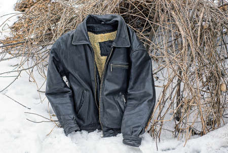one black leather jacket with a gray wool lining lies on dry branches and white snow on a winter...