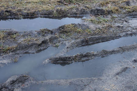 trenches and puddles of dirty water on the gray earth of a rural road near dry grass