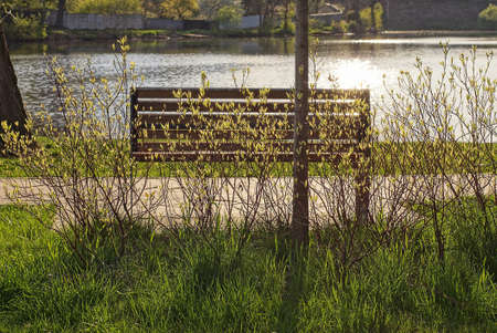 one brown bench stands on a gray sidewalk in green grass in front of vegetation bushes on the shore near the water of a reservoirの写真素材