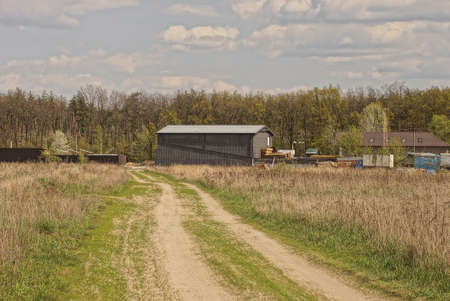 earthen road among dry grass in a field against the background of tree houses and the sky