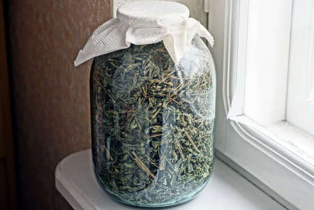 one large glass jar full of dry green tea stands on a white table by the window in the roomの写真素材