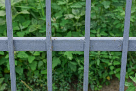 gray metal texture of iron rods on a background of green grass in the streetの写真素材
