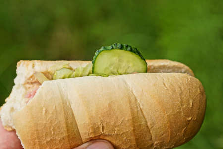 a hand holds a piece of a sandwich from a bun with cucumbers and meat on a green backgroundの写真素材
