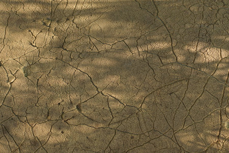 brown plastic texture from a piece of brown old foam rubber with cracks