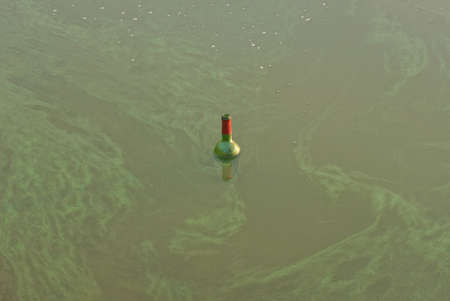 garbage from one red glass bottle in green lake water in natureの写真素材