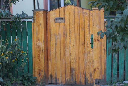 one closed brown wooden door on a green fence wall on a rural street in vegetationの写真素材