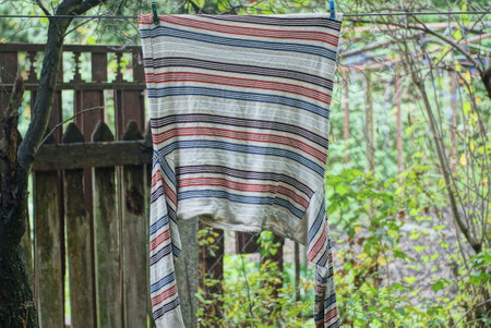 one striped wool sweater hangs on a wire on clothespins in the street among green vegetationの写真素材