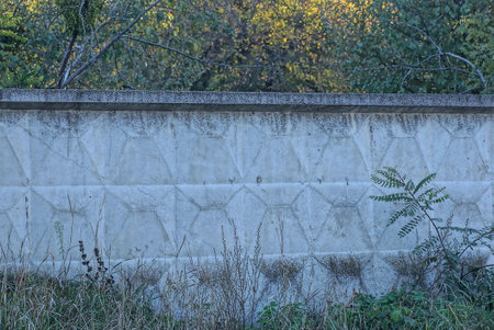 part of a gray dirty concrete fence wall overgrown with green leaves and vegetation in the streetの写真素材