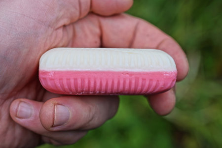one red white bar of soap lies on the palm of the hand on a green backgroundの写真素材