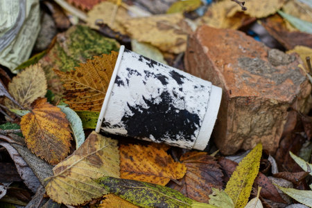 garbage from one old paper black white empty glass lies on dry brown fallen leaves on the ground in autumn natureの写真素材