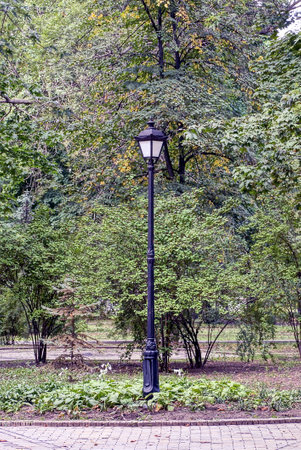 one black iron pillar with an old street lamp in the summer parkの写真素材