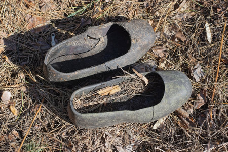 shoes from two old black rubber galoshes stand on brown fallen leaves and dry grass on the streetの写真素材