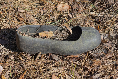 shoes from one old black rubber galoshes stands on fallen brown leaves and dry grass on the streetの写真素材