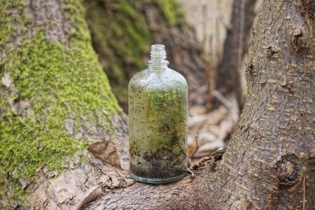 one small dirty glass old gray green bottle stands on a wooden tree branch in natureの写真素材