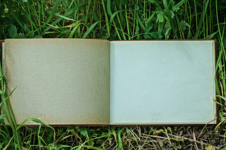 one big old open paper empty photo album with gray brown sheets on the street among green grass and...