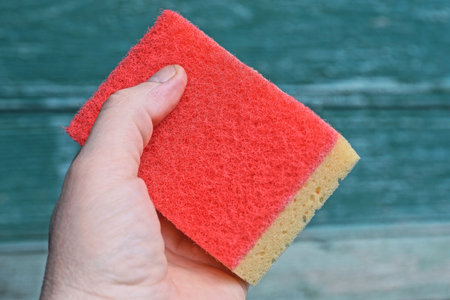 a hand holds one red yellow foam rubber washcloth on a green backgroundの写真素材
